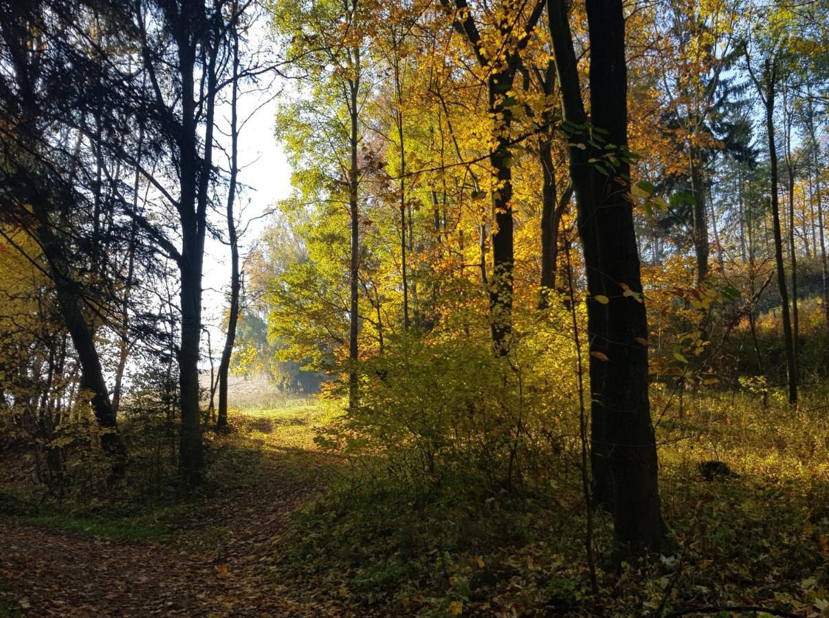 Pokoje Goscinne Art- Dworek Kudowa Zdroj Luaran gambar