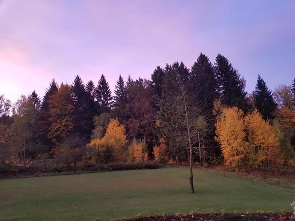 Pokoje Goscinne Art- Dworek Kudowa Zdroj Luaran gambar