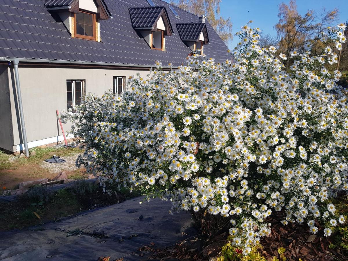 Pokoje Goscinne Art- Dworek Kudowa Zdroj Luaran gambar