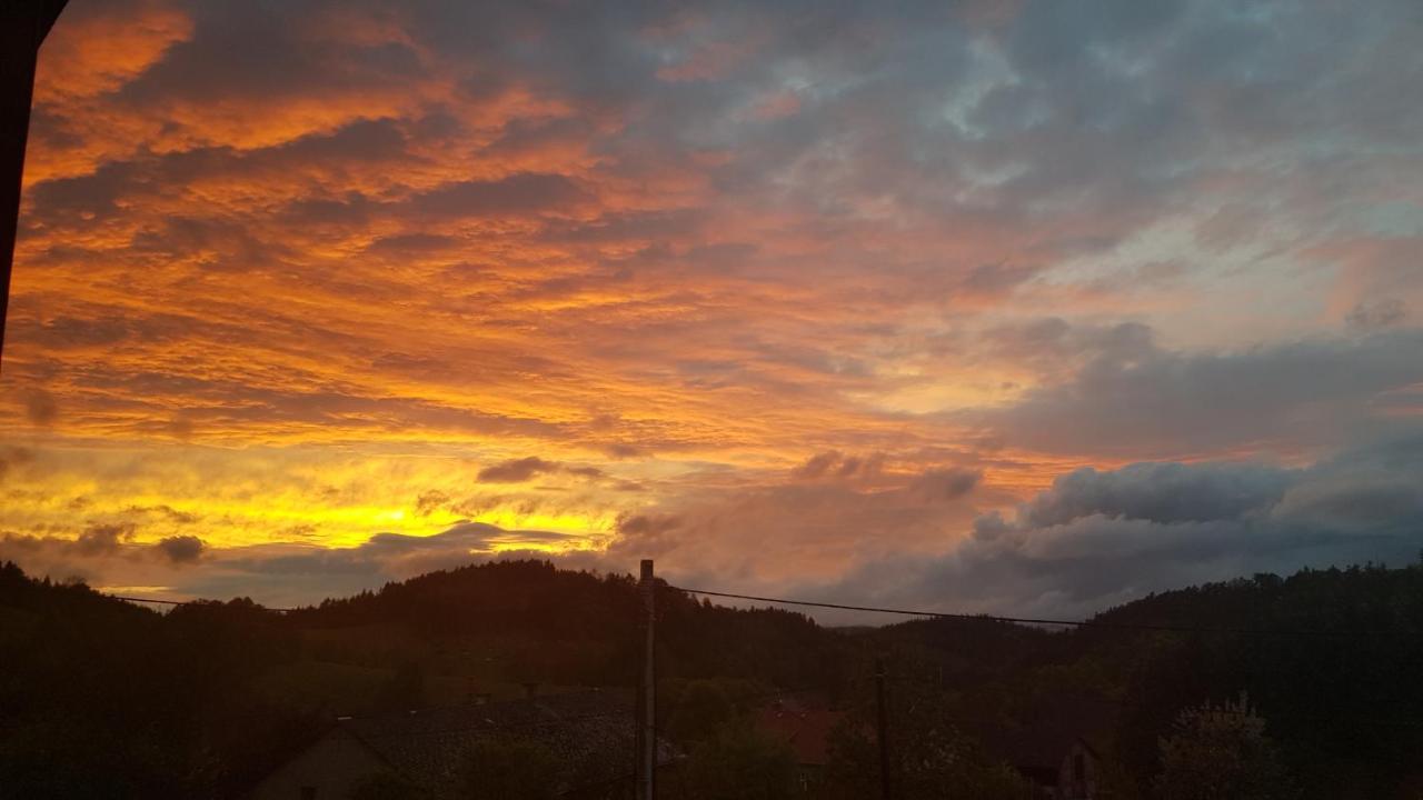 Pokoje Goscinne Art- Dworek Kudowa Zdroj Luaran gambar