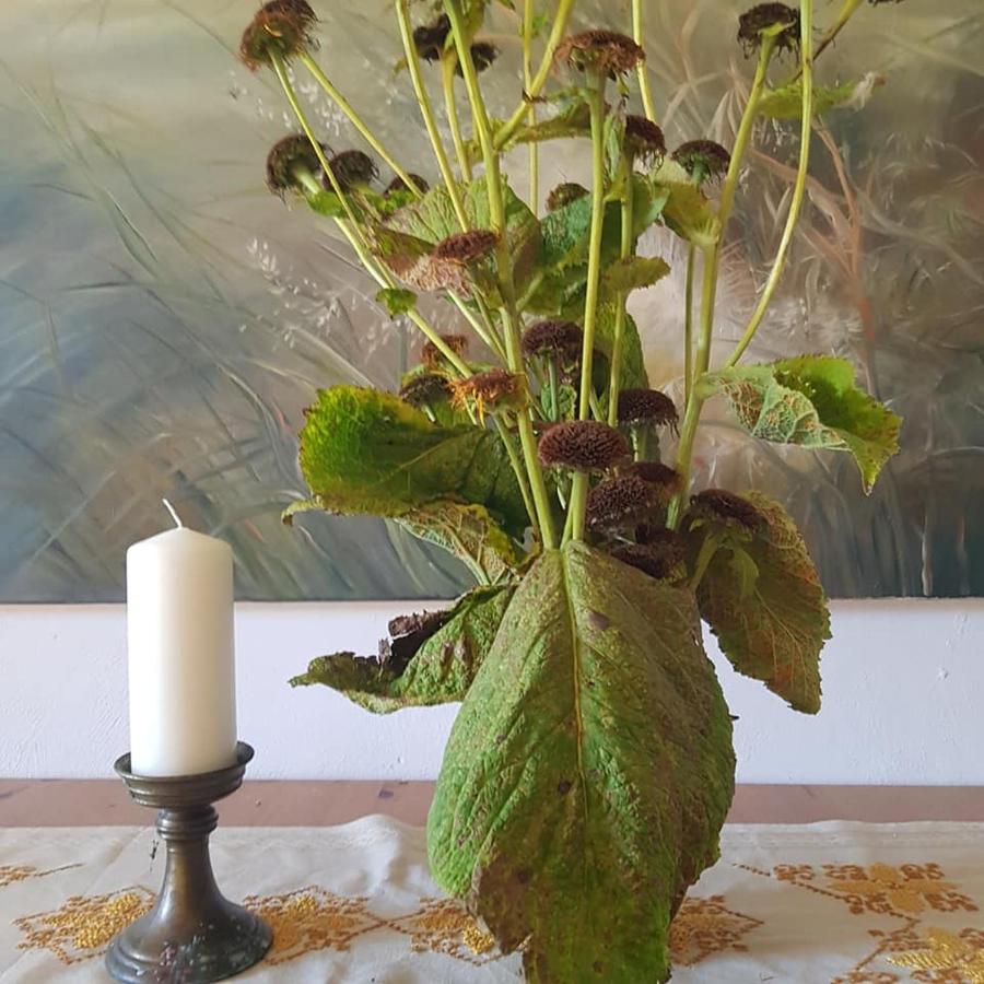Pokoje Goscinne Art- Dworek Kudowa Zdroj Luaran gambar